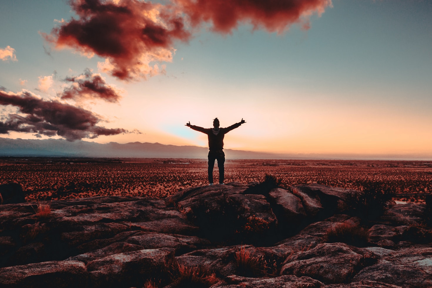The Joy of New Beginnings After Midlife